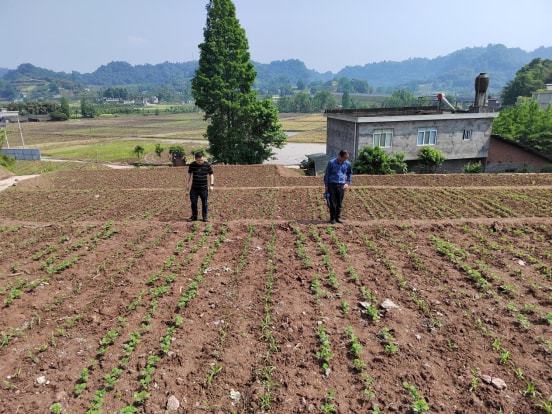 和硕县农业农村局新项目推动农业现代化，乡村振兴再添动力